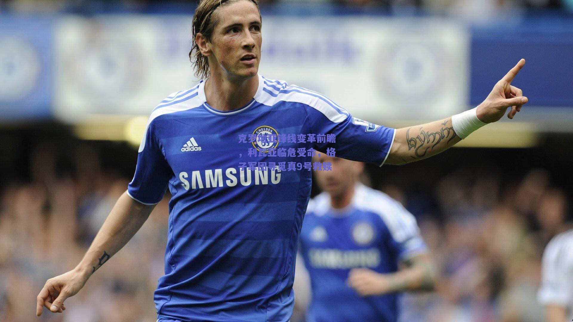 开云：克罗地亚锋线变革前瞻，利瓦亚临危受命，格子军团寻觅真9号救赎